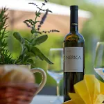 Villa Activity And Familiy Milena With Heated Pool